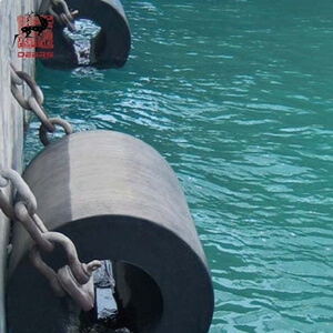 Aplicación de guardabarros de cilindro (4)