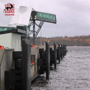 Casos of Guardabarros de goma tipo I (2)