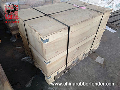 Embalaje de guardabarros GD (1)